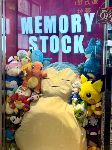 MEMORY STOCK